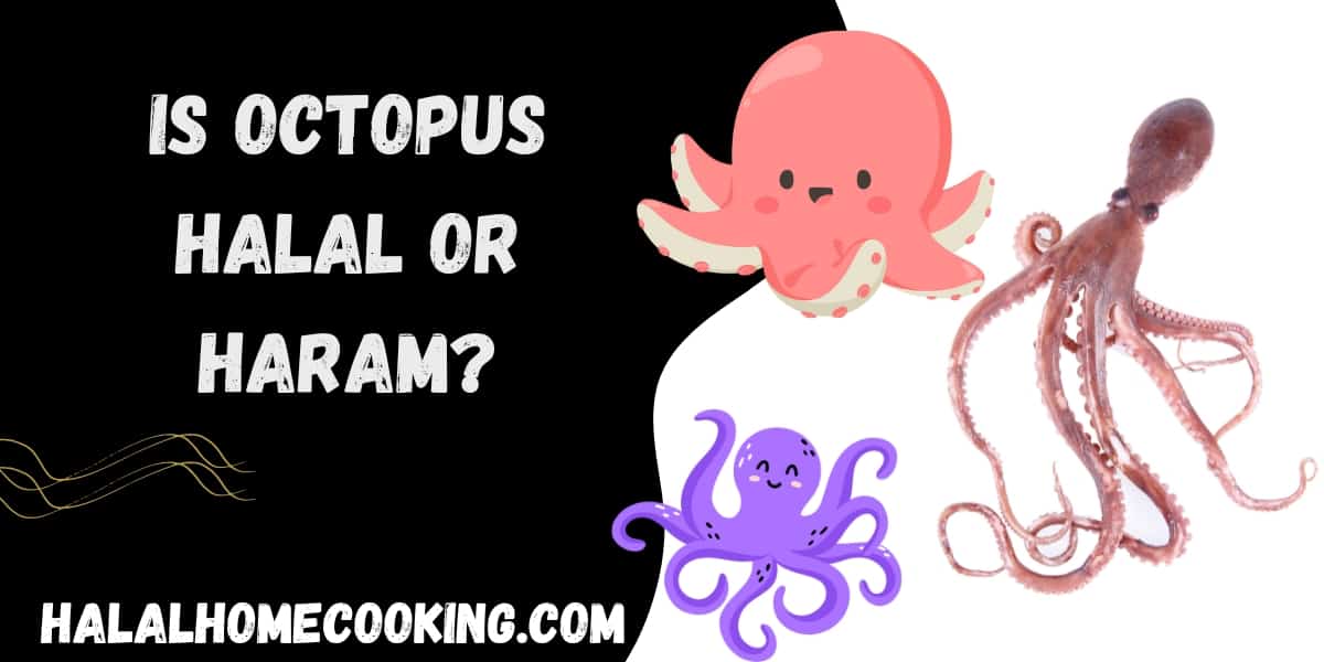Is Octopus Halal or Haram?