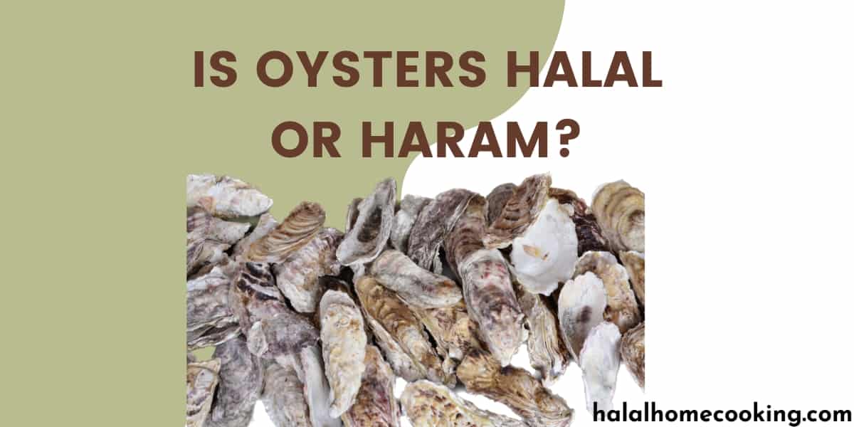 is_oysters_halal_featured_img