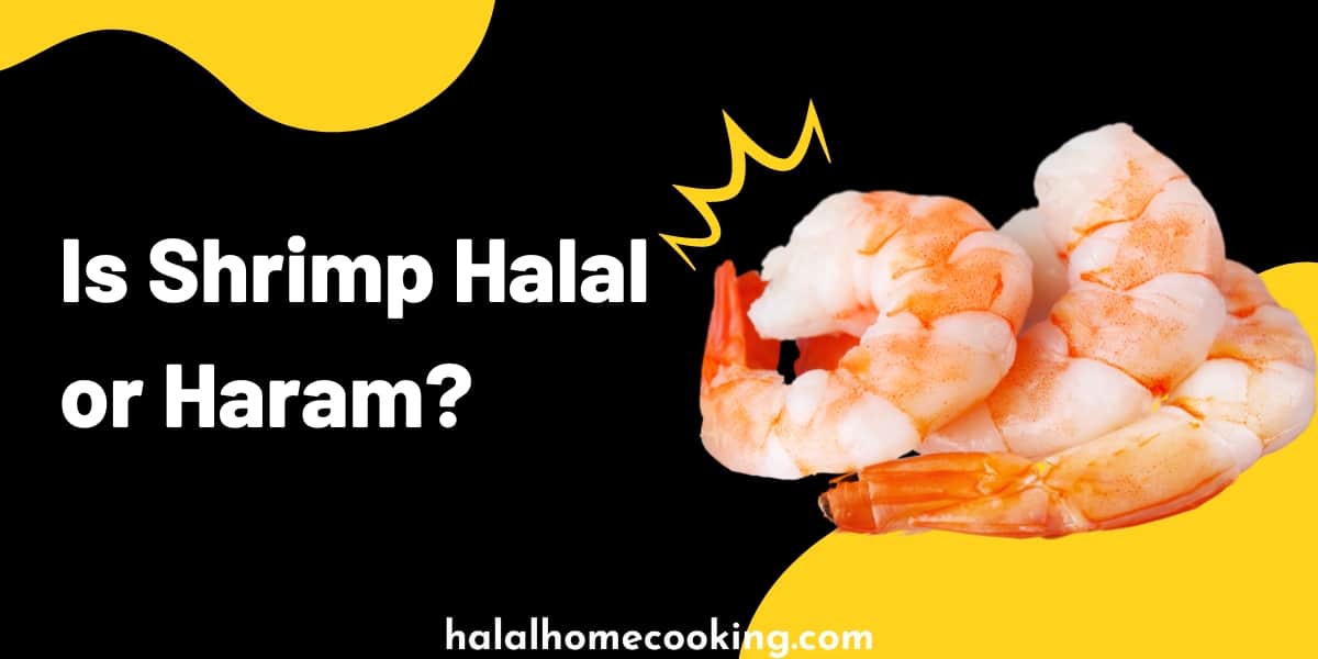 is_shrimp_halal_featured_img
