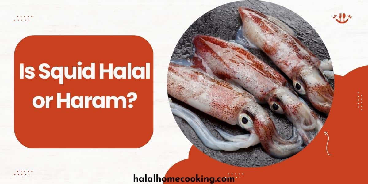 is_squid_halal_featured_img