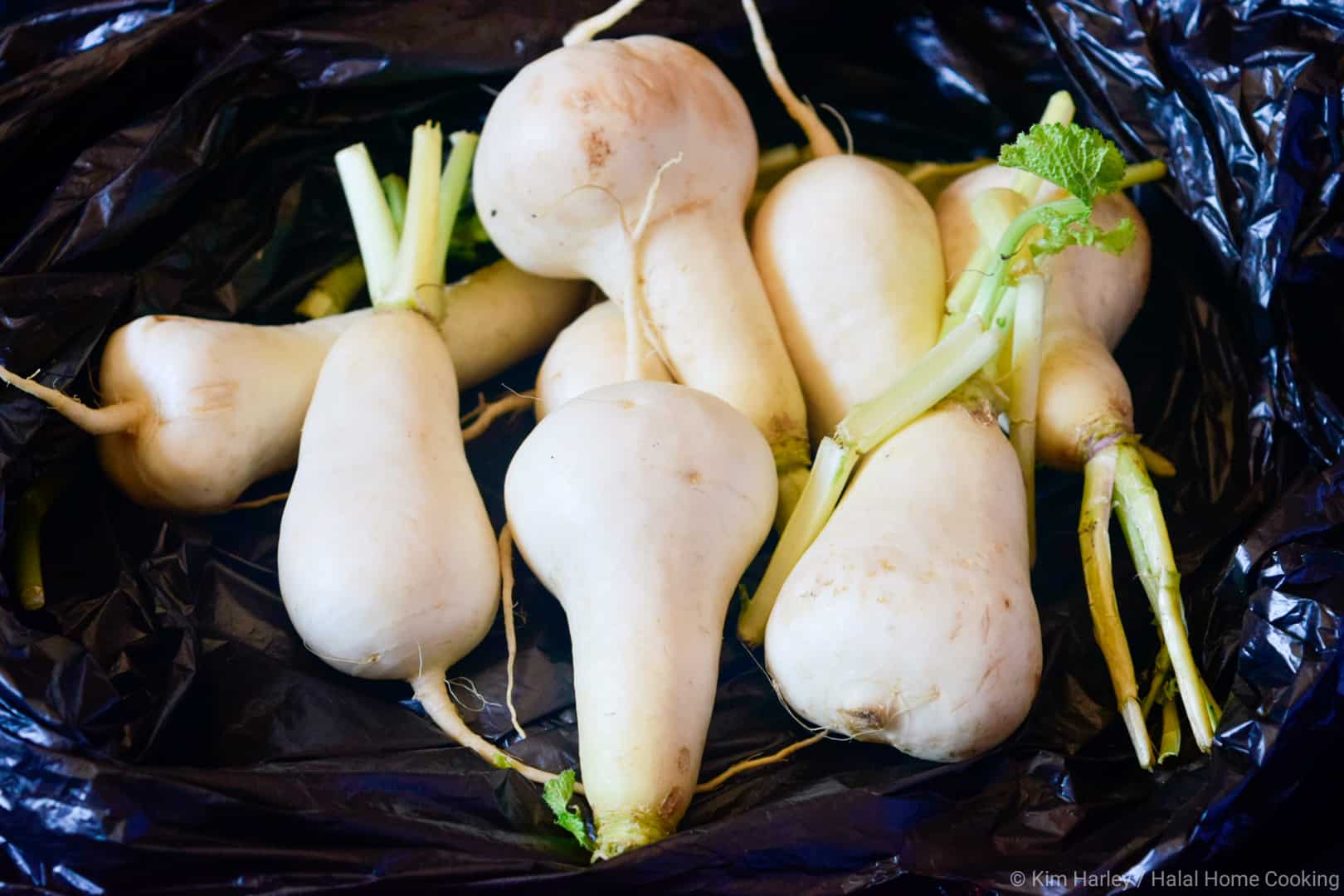 04ca9-white-turnips