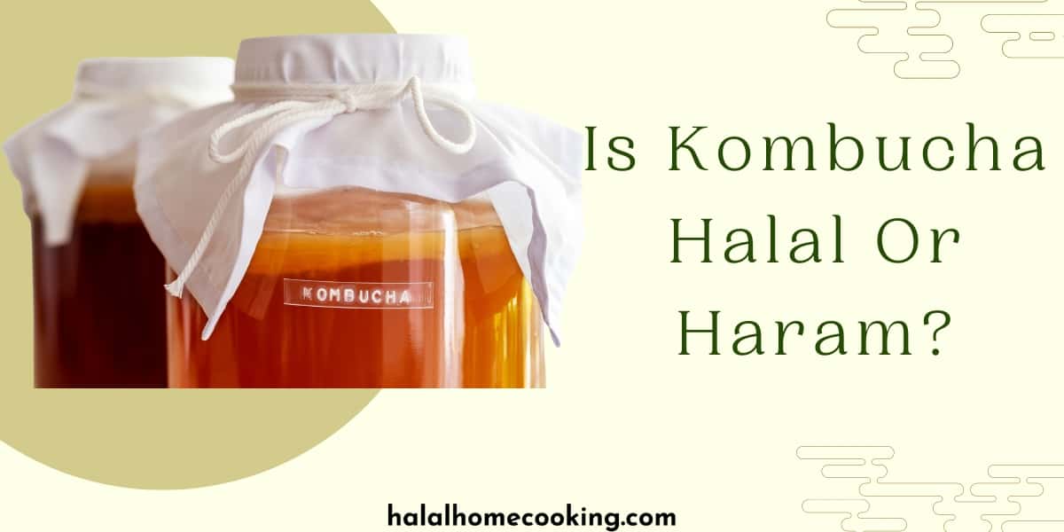 Is-Kombucha-Halal-Or-Haram-featured-img