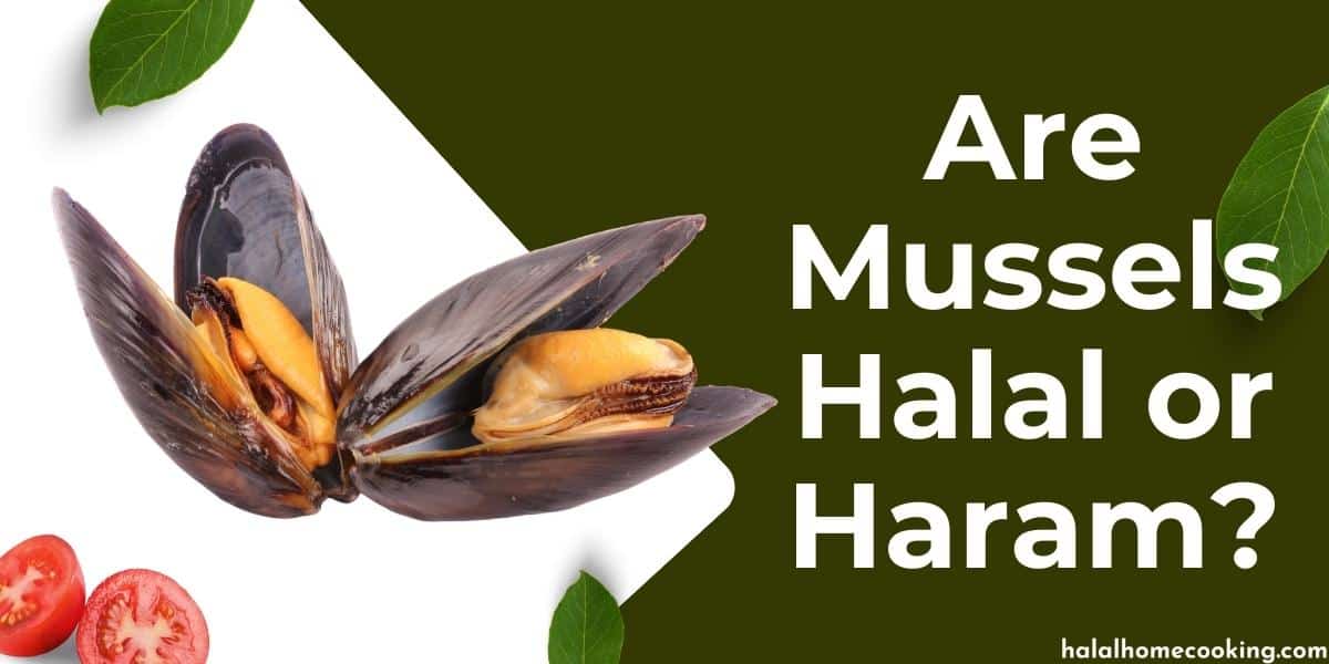 Are Mussels Halal or Haram?