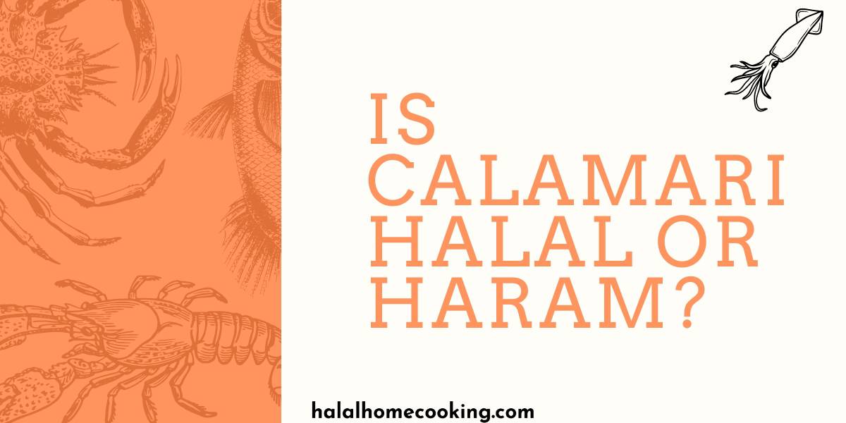 Is Calamari Halal or Haram? 