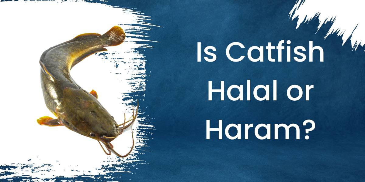 Is Catfish Halal or Haram?