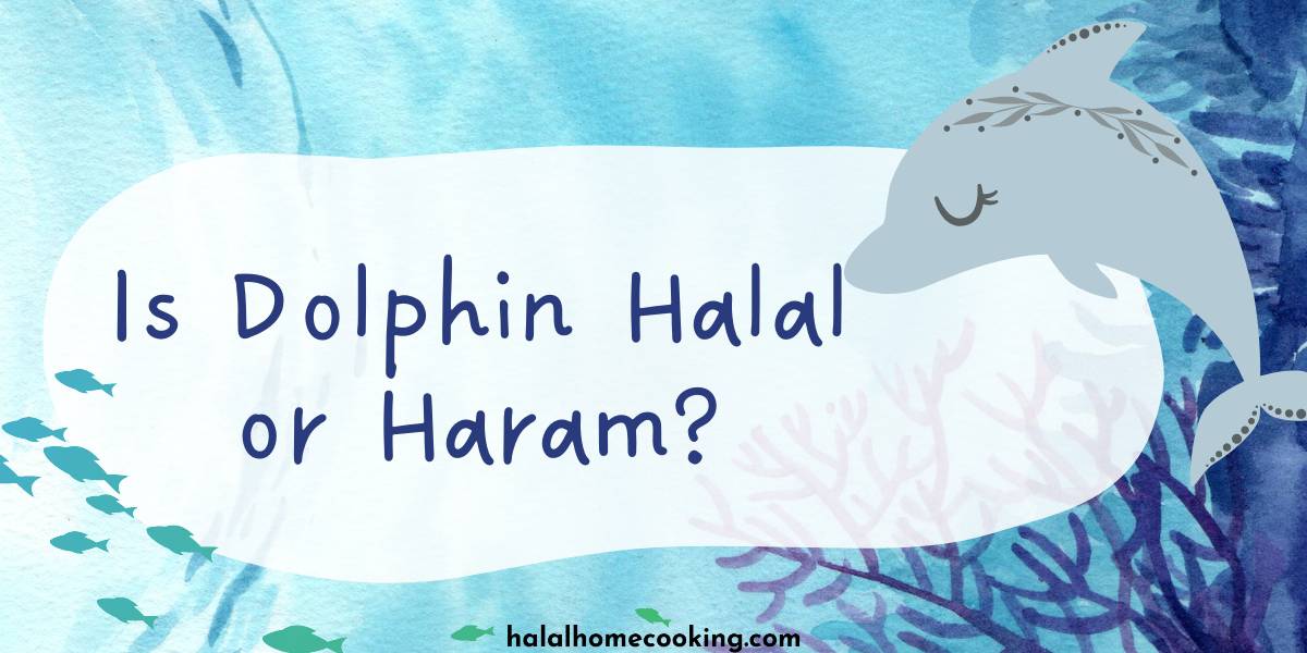 Is Dolphin Halal or Haram?