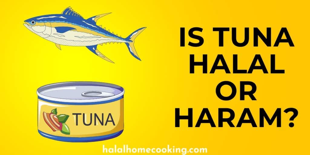 is-tuna-halal-or-haram-halal-home-cooking