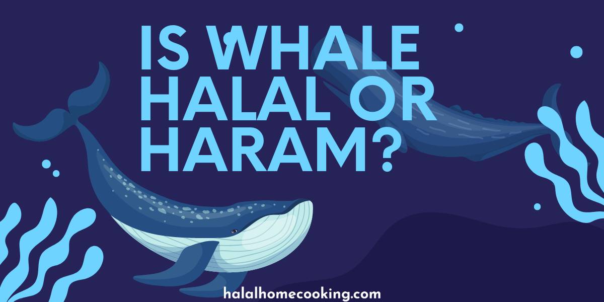 Is Whale Halal or Haram?