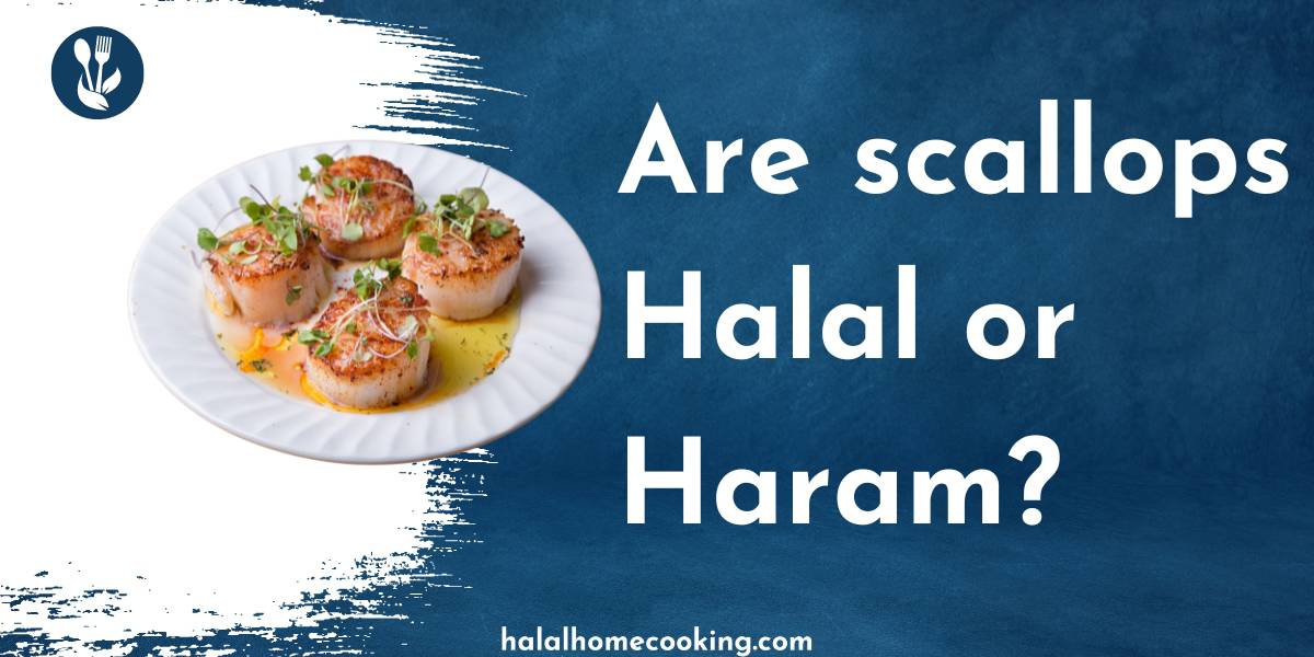 scallops-hala-or-haram-featured-img