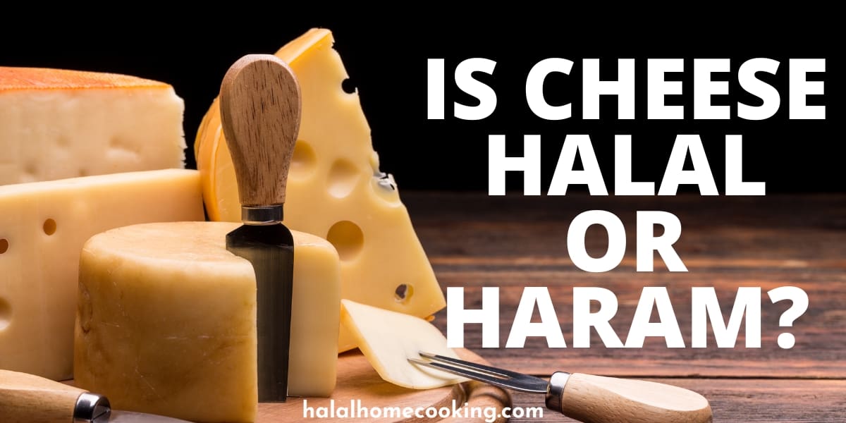 is-cheese-halal-or-haram-featured-img