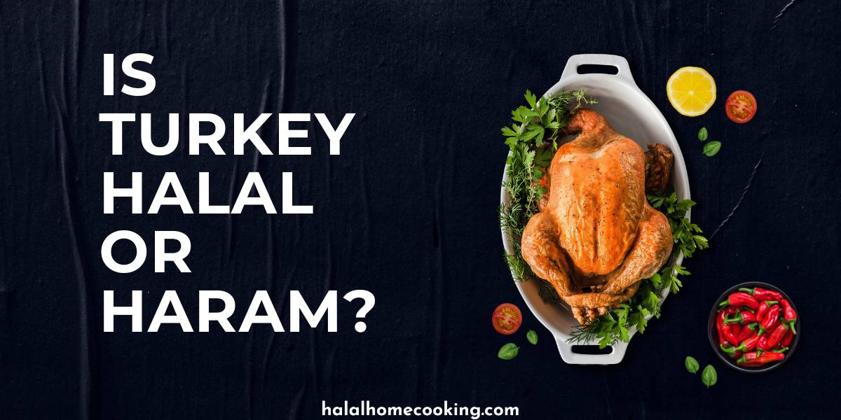 is-turkey-halal-or-haram-featured-img