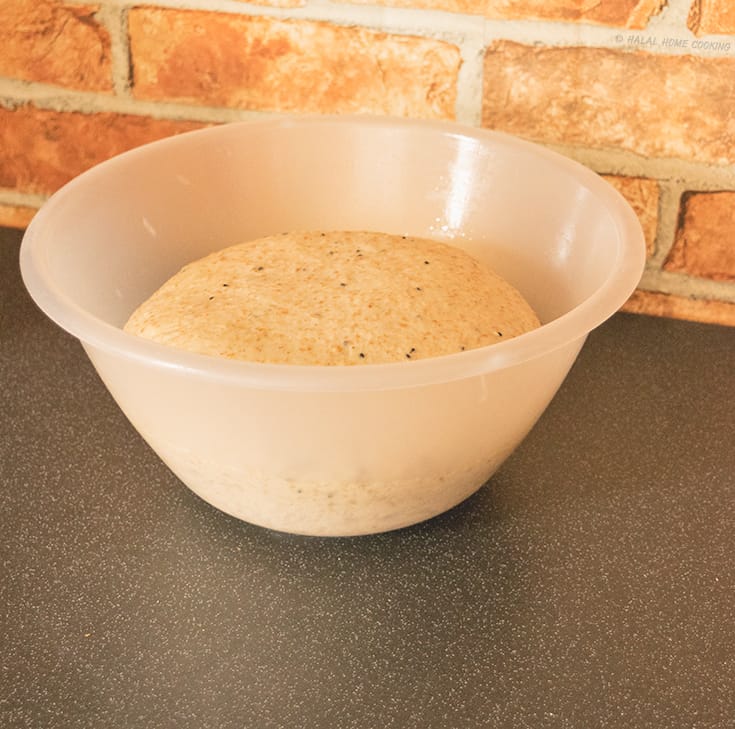 bread-dough-after-first-rise