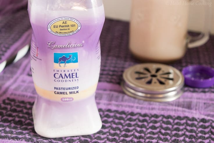 Camel Milk Hot Chocolate…Camelicious!