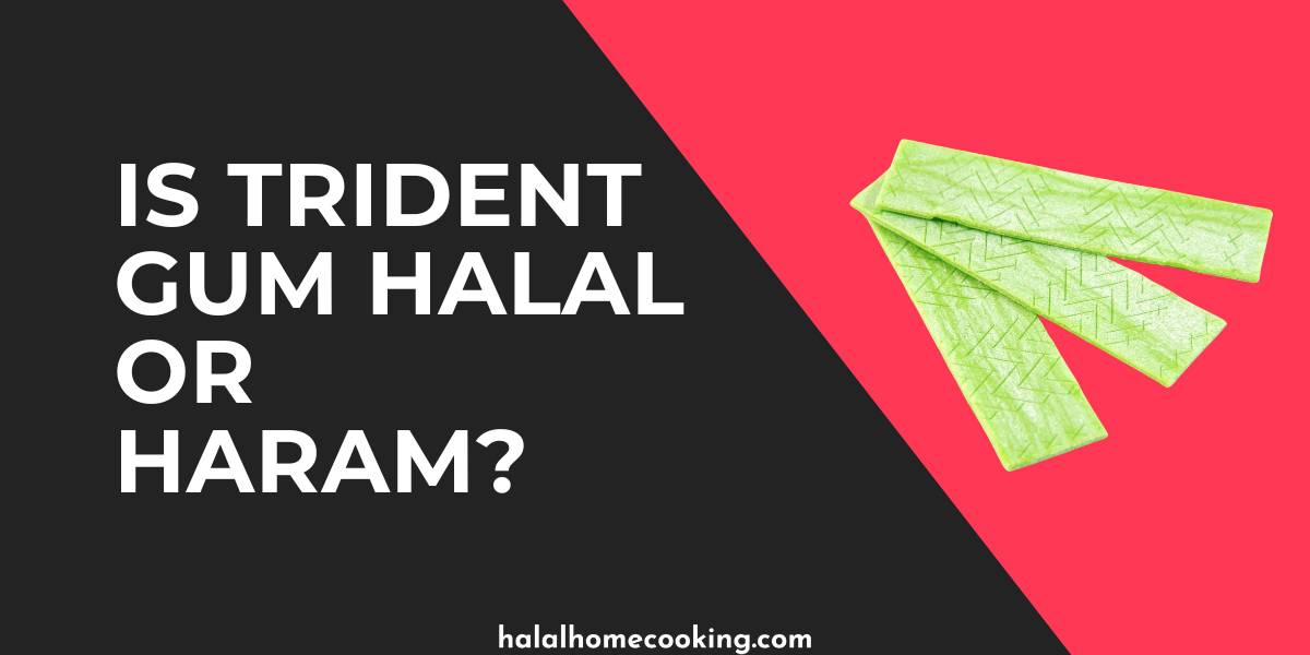 is-trident-gum-halal-or-haram-featured-img